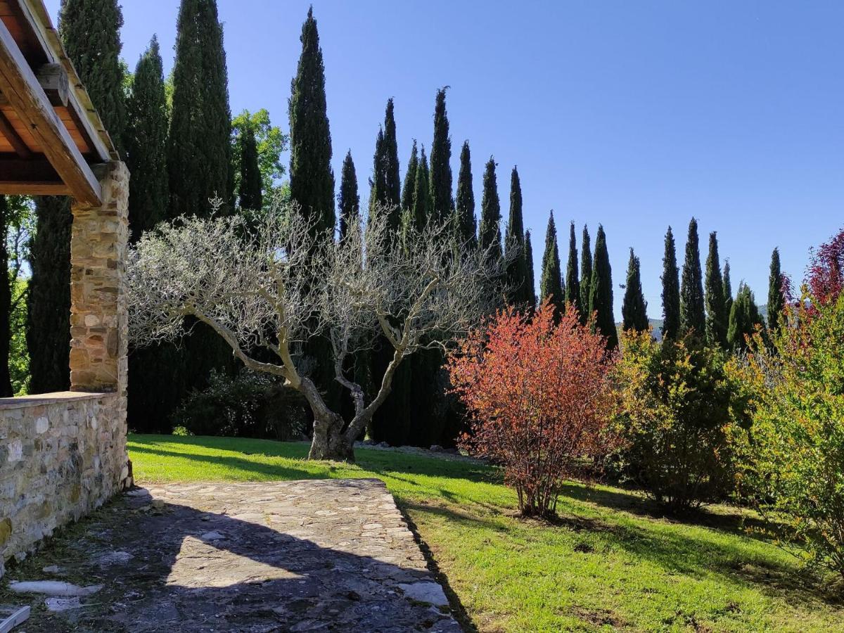 Atmospheric Apartment In Authentic House Near Beautiful Sasso Pisano Exterior foto